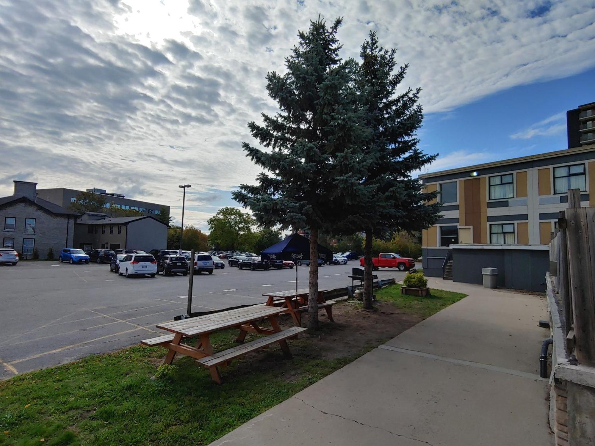 Econo Lodge City Centre Kingston Eksteriør bilde