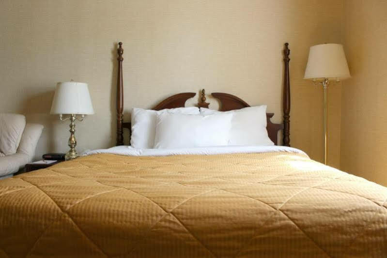 Econo Lodge City Centre Kingston Eksteriør bilde